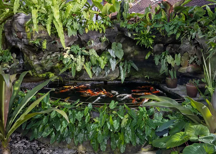 Cloudspace Ubud